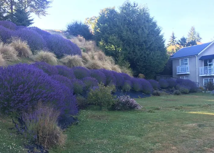 Lake Wanaka Lodge